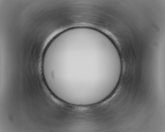 X0000113261278200909101242