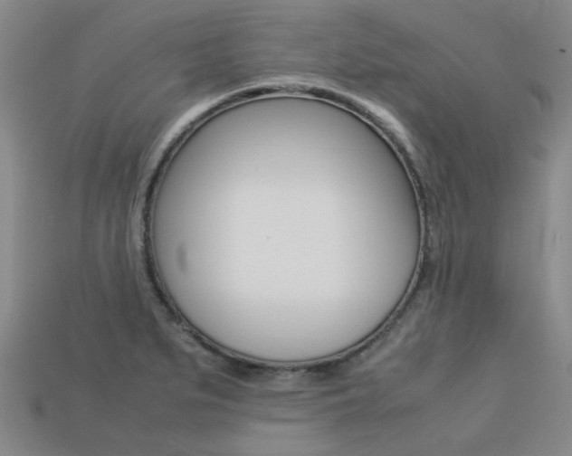 X0000113261279200909101242