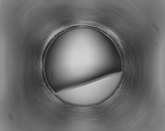 X0000113261280200909101242