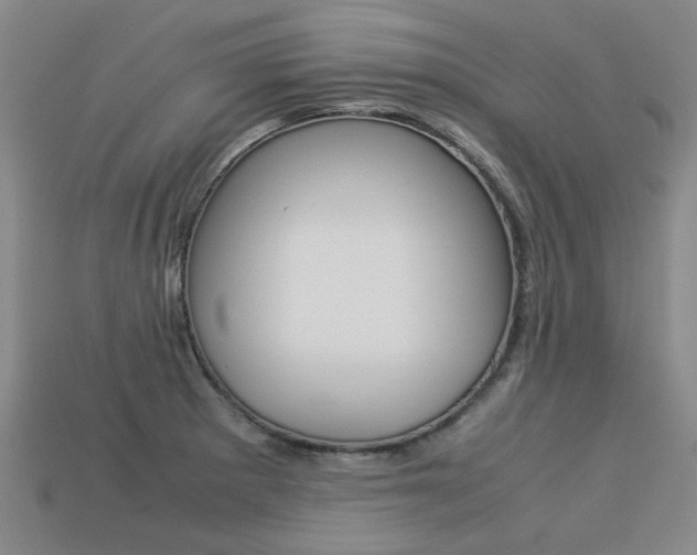 X0000113261281200909101242