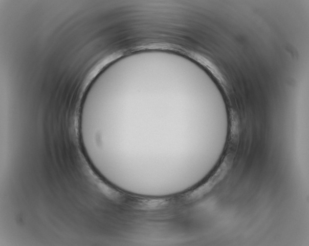 X0000113261282200909101242