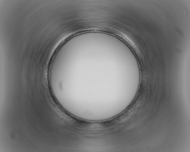 X0000113261283200909101242