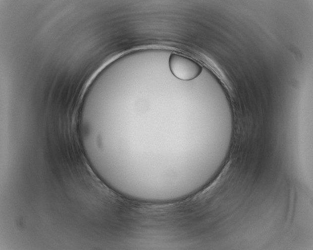 X0000113261284200909101242