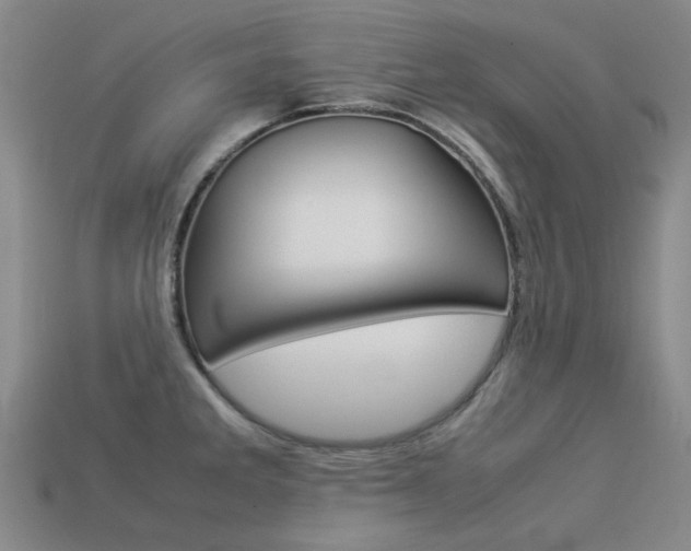 X0000113261285200909101242