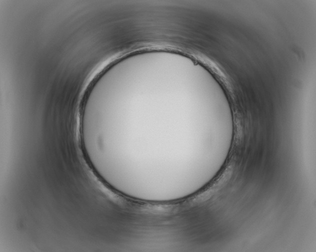X0000113261286200909101242