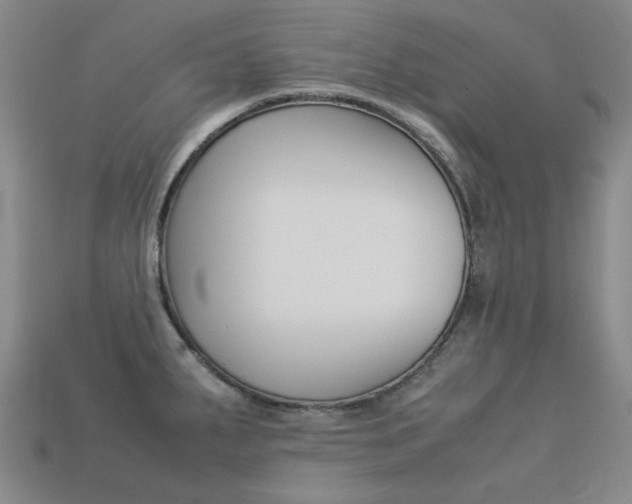 X0000113261287200909101242