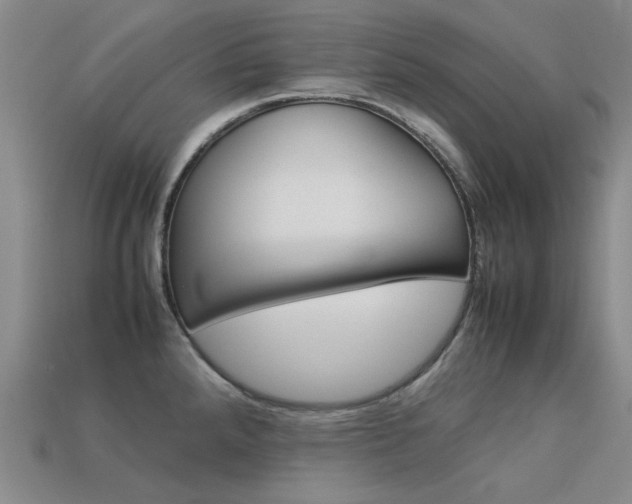 X0000113261288200909101242