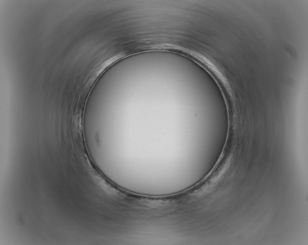 X0000113261289200909101242