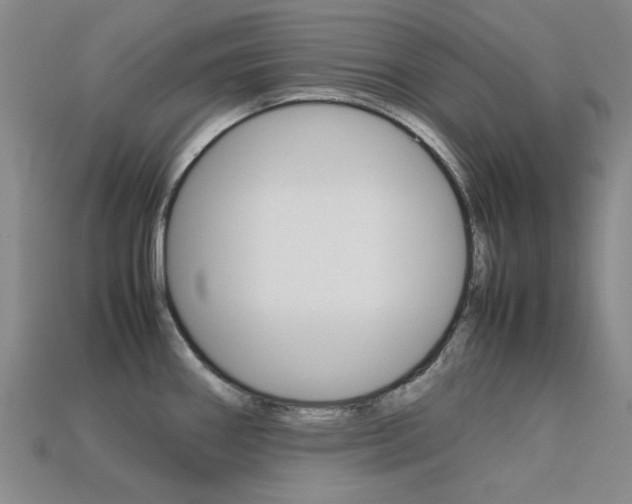 X0000113261290200909101242