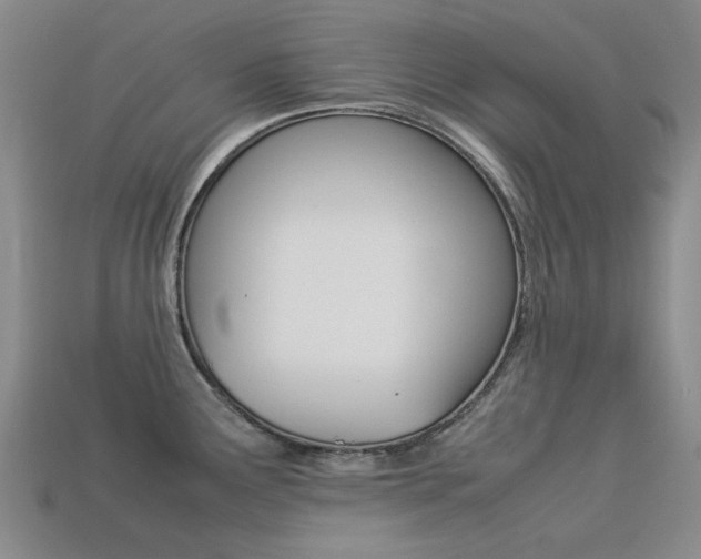 X0000113261291200909101242
