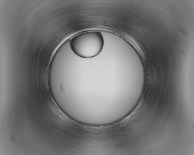X0000113261292200909101242