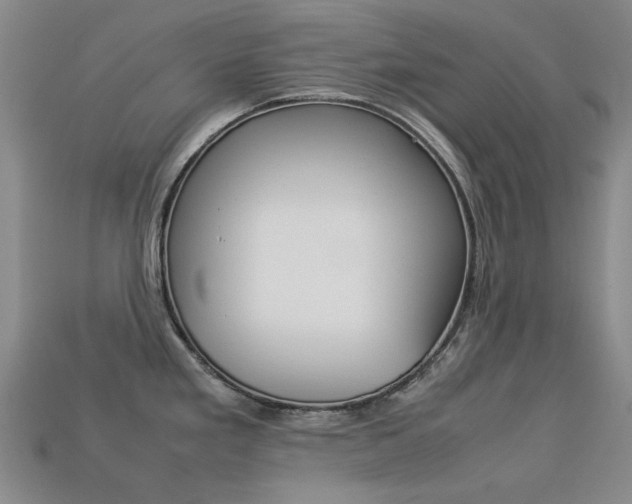 X0000113261293200909101242