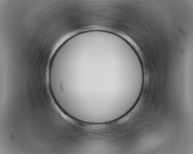 X0000113261294200909101242