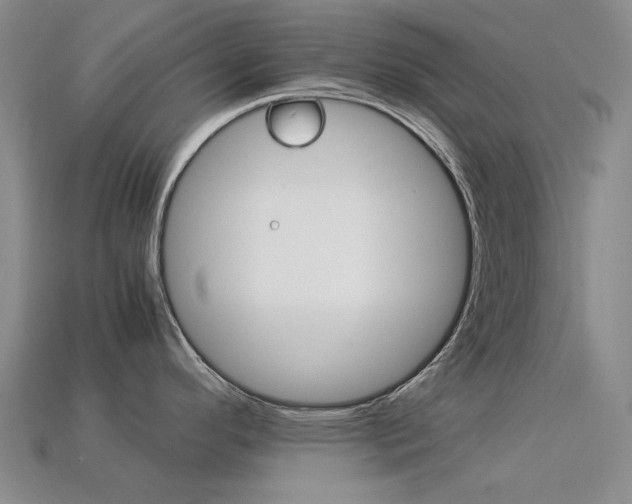 X0000113261296200909101242