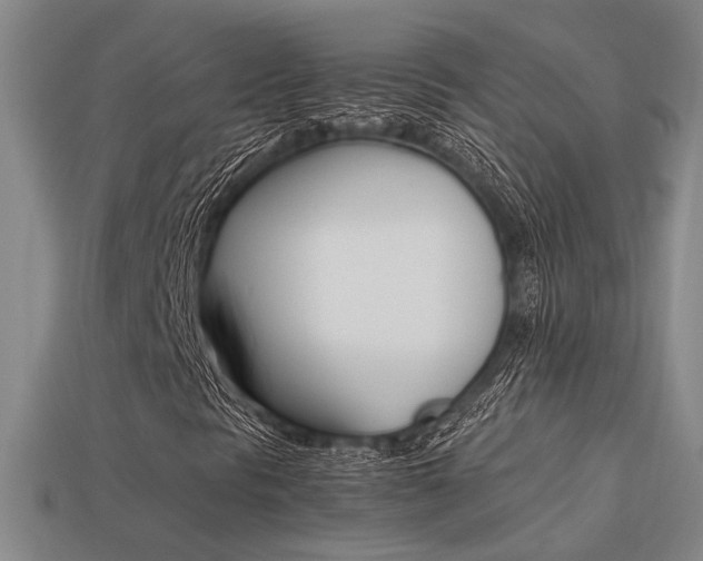 X0000113261297200909101241
