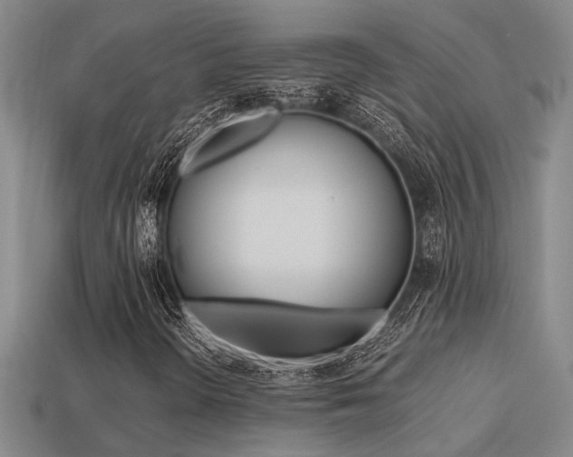 X0000113261298200909101241