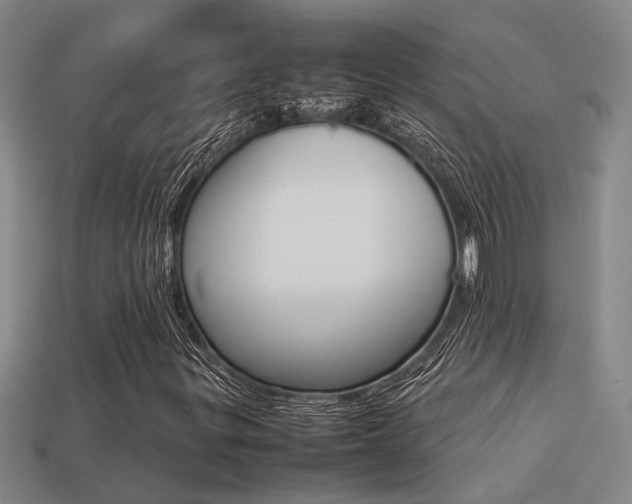 X0000113261299200909101241