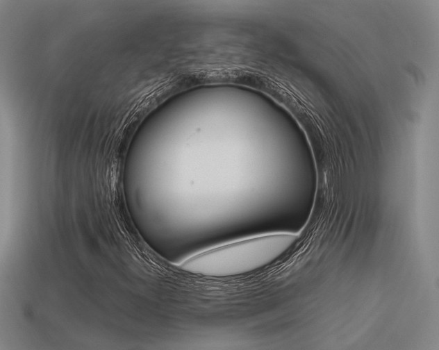 X0000113261300200909101241
