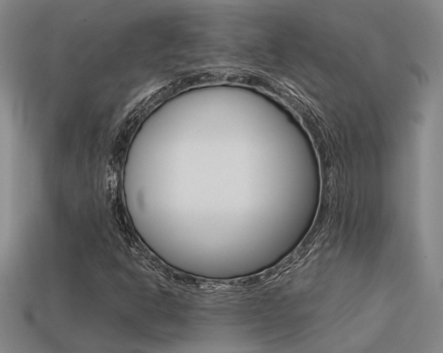 X0000113261302200909101241