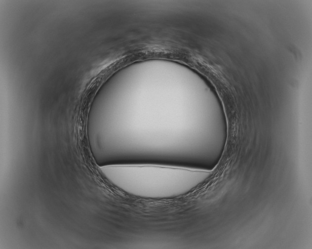 X0000113261303200909101241