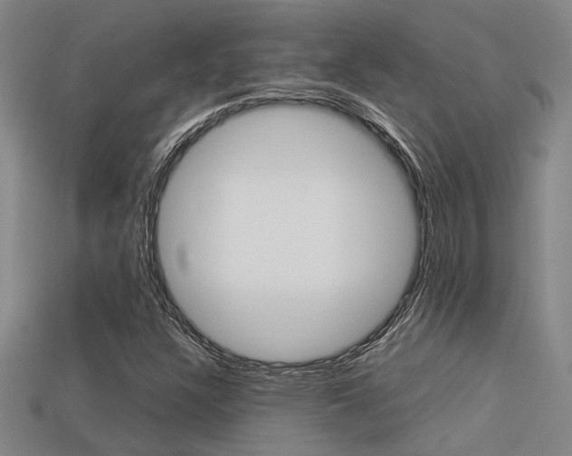 X0000113261304200909101241