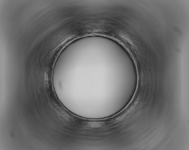 X0000113261305200909101241