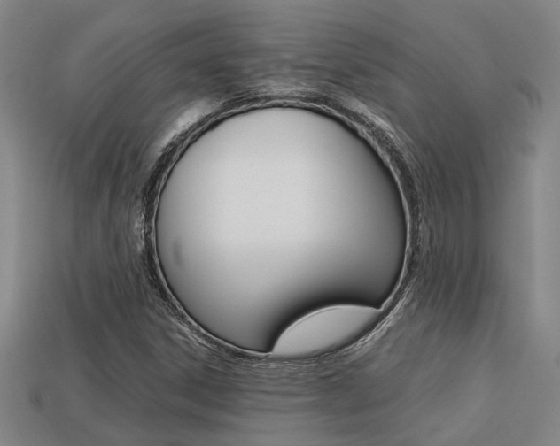 X0000113261306200909101241