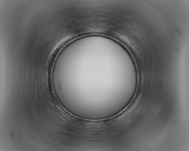 X0000113261307200909101241