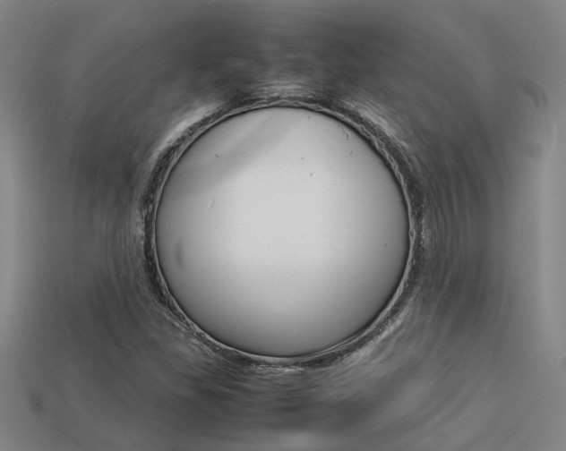 X0000113261309200909101241