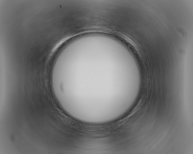X0000113261310200909101241