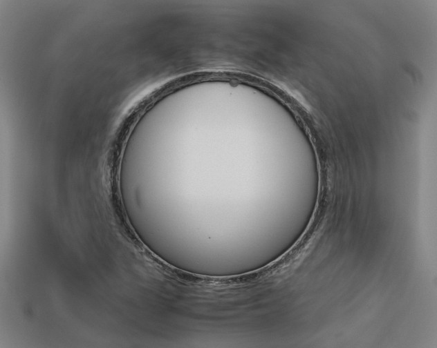X0000113261311200909101241