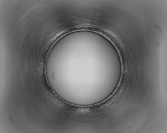X0000113261313200909101241