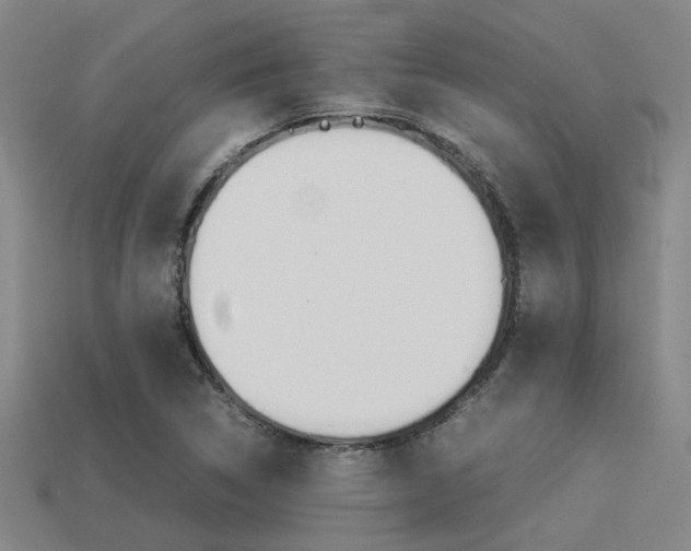 X0000113261314200909101241