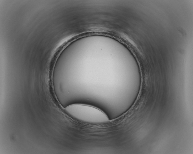 X0000113261315200909101241