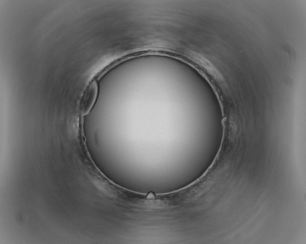 X0000113261316200909101241