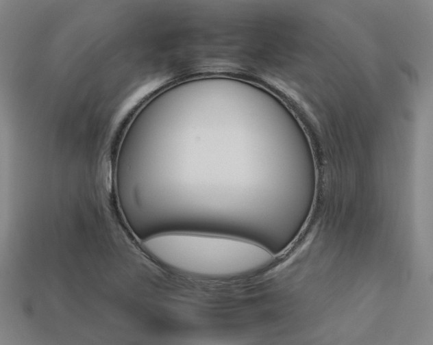 X0000113261317200909101241