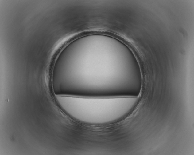 X0000113261319200909101241