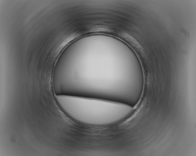 X0000113261321200909101241