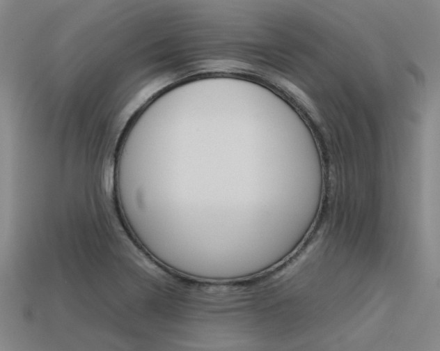 X0000113261322200909101242