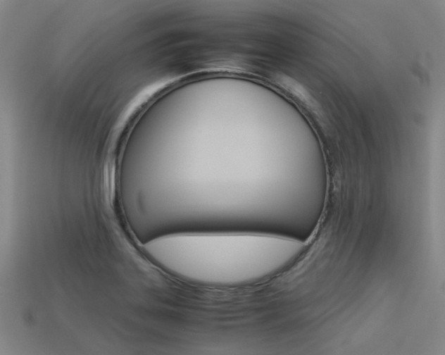X0000113261323200909101242
