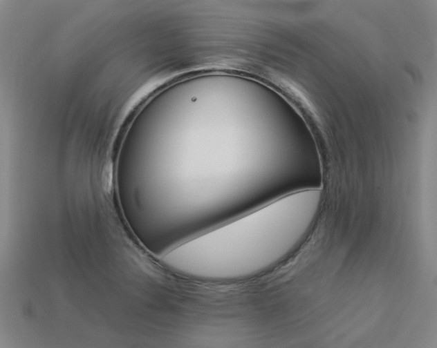 X0000113261324200909101242