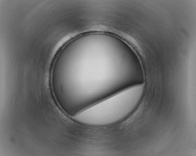 X0000113261326200909101242