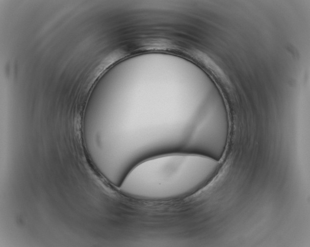 X0000113261329200909101242