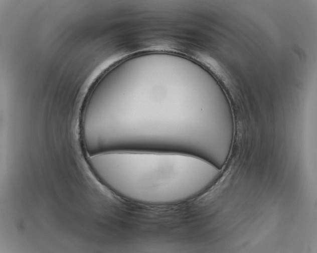X0000113261331200909101242
