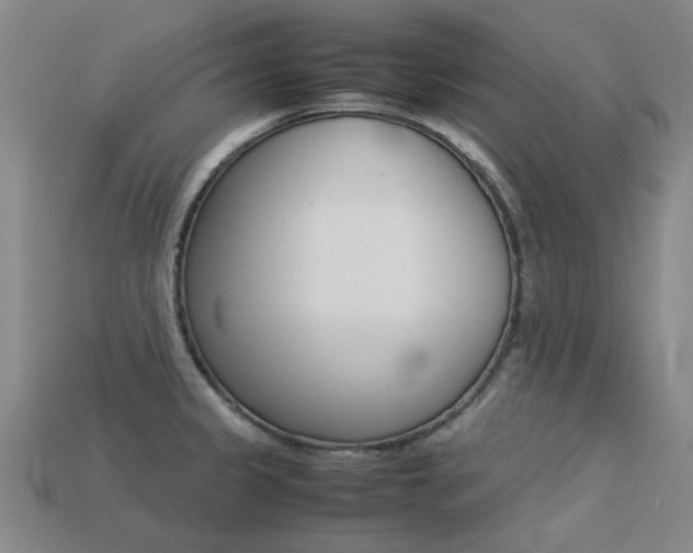 X0000113261333200909101242