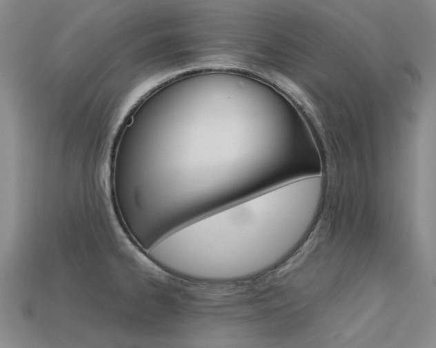 X0000113261334200909101242