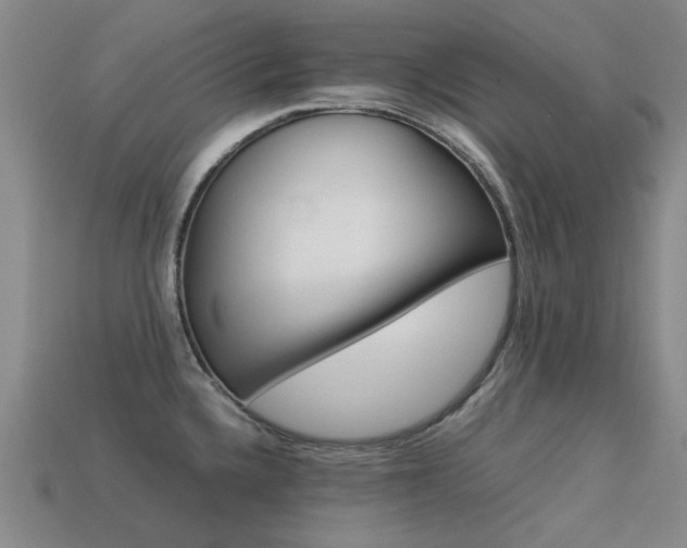 X0000113261336200909101242