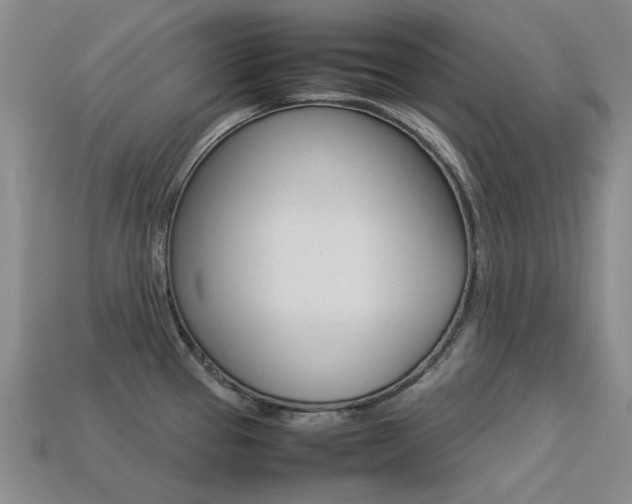 X0000113261337200909101242