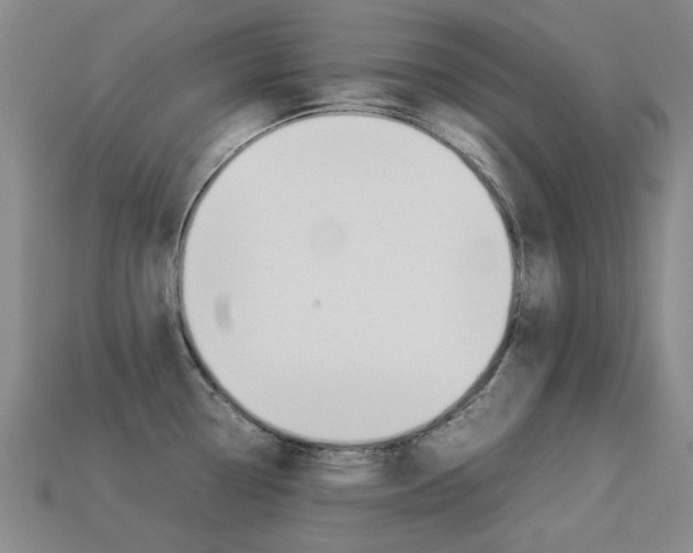 X0000113261338200909101242