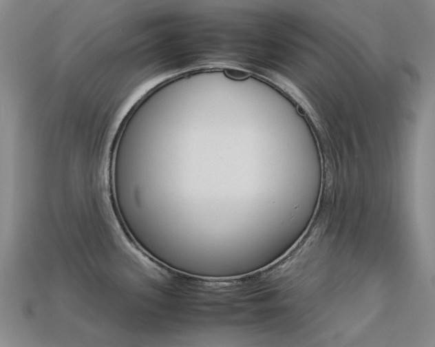 X0000113261339200909101242